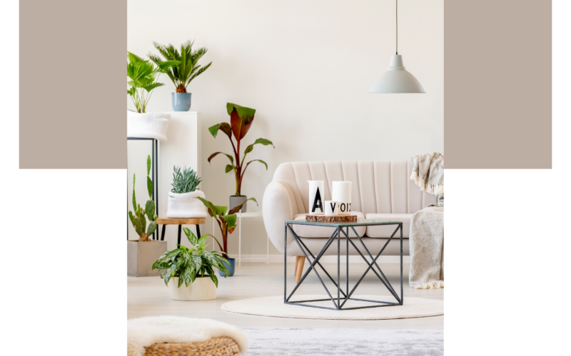 12-Money-Saving-Tips-in-the-Home-12-3-21