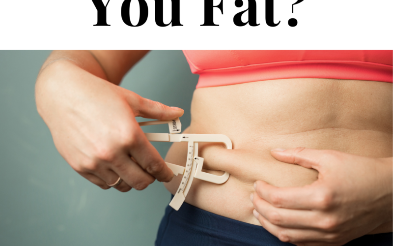 Does-Fat-Really-Make-You-Fat-11-20-21