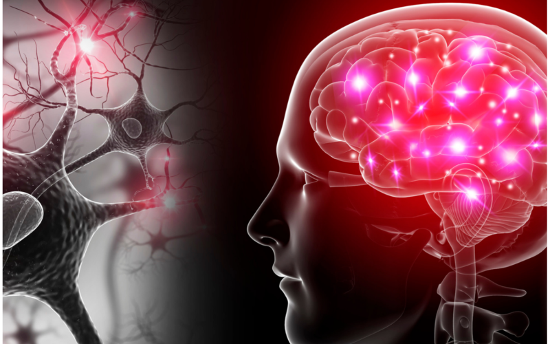 Keep-Your-Brain-Healthy-in-Just-10-Minutes-a-Day-11-20-21