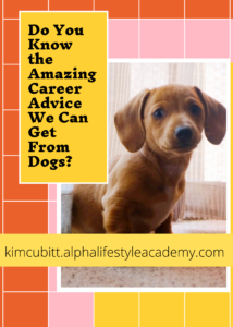 Amazing-Career-Advice-From-Dogs
